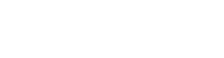 Logo horizontal de Ninine Amelia con tipografía cursiva blanca